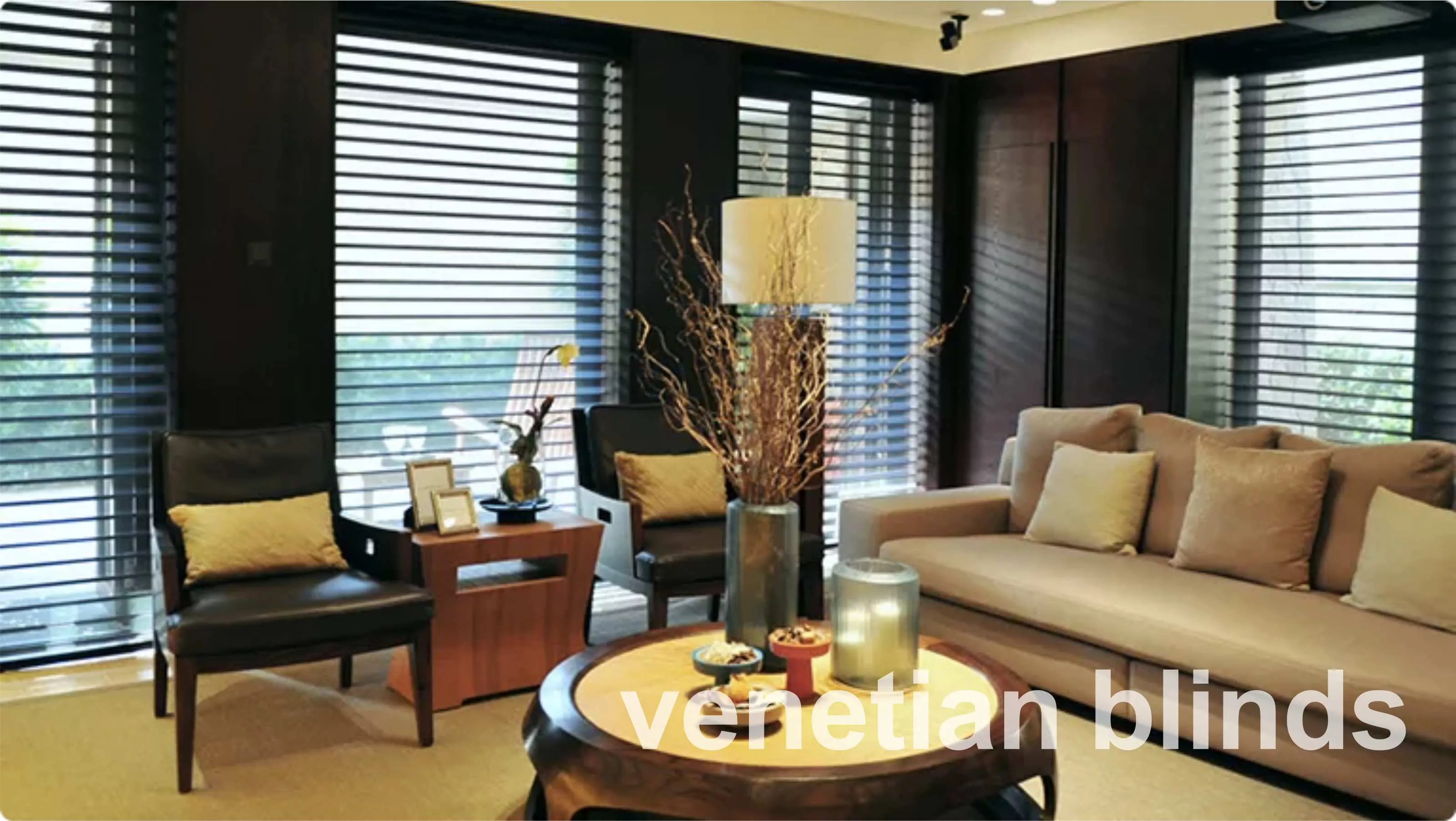 venetian blinds